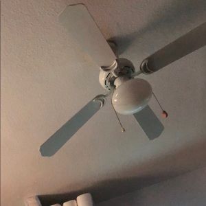 Meet your Posher, Cesar